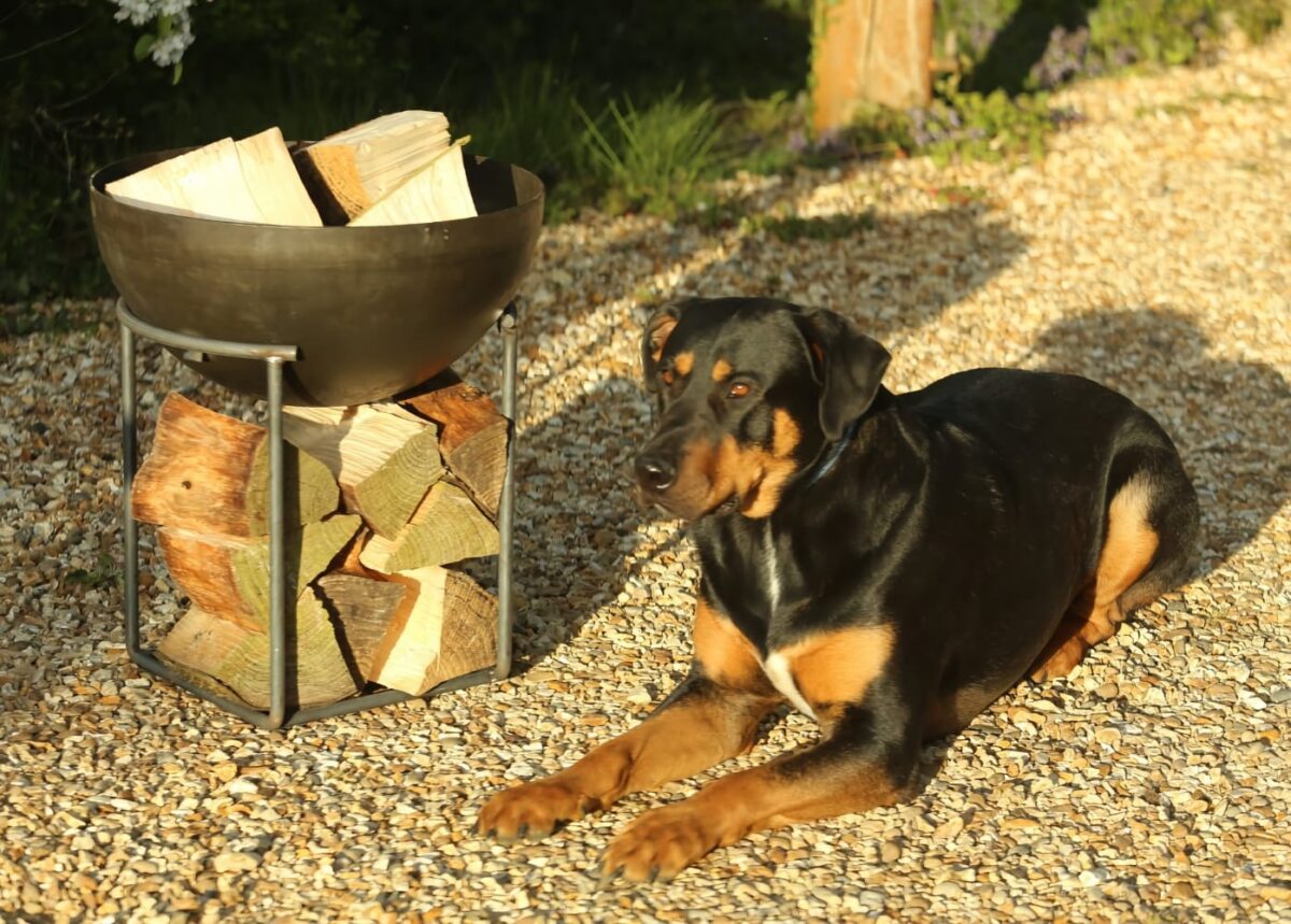 Kyeburn Firebowl 500 close up wood Dog