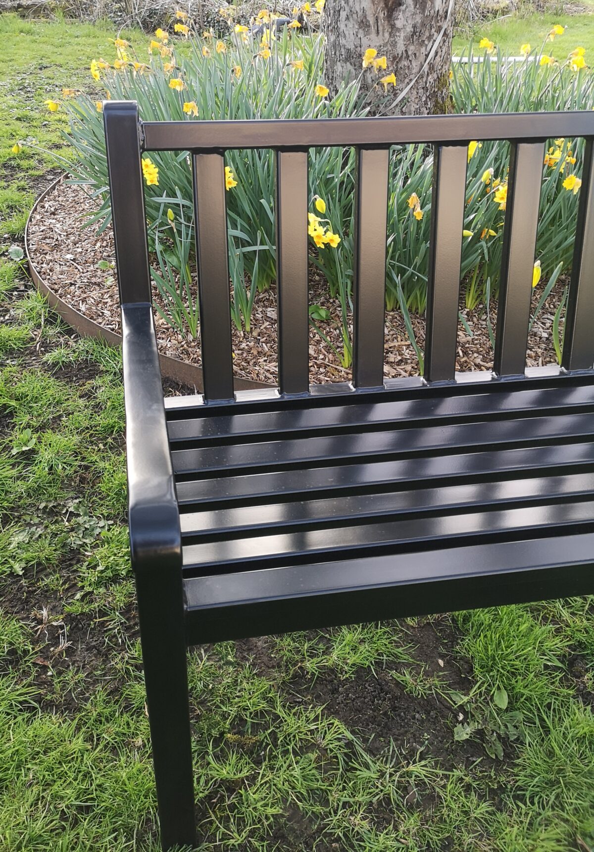 Bench Seat in front of daffodils - LH Side view